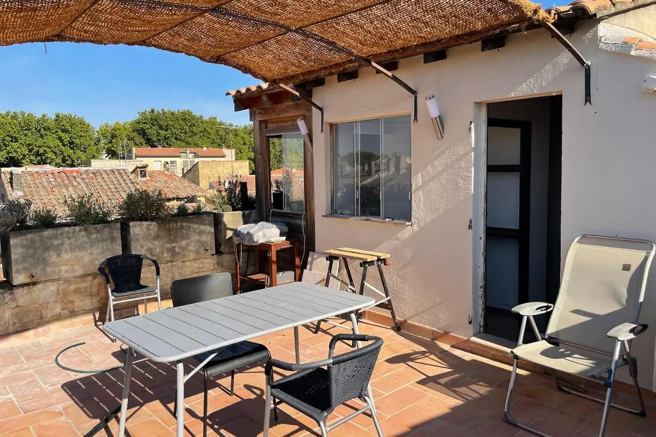 100M With View On Avignon Palais Des Papes Apartment