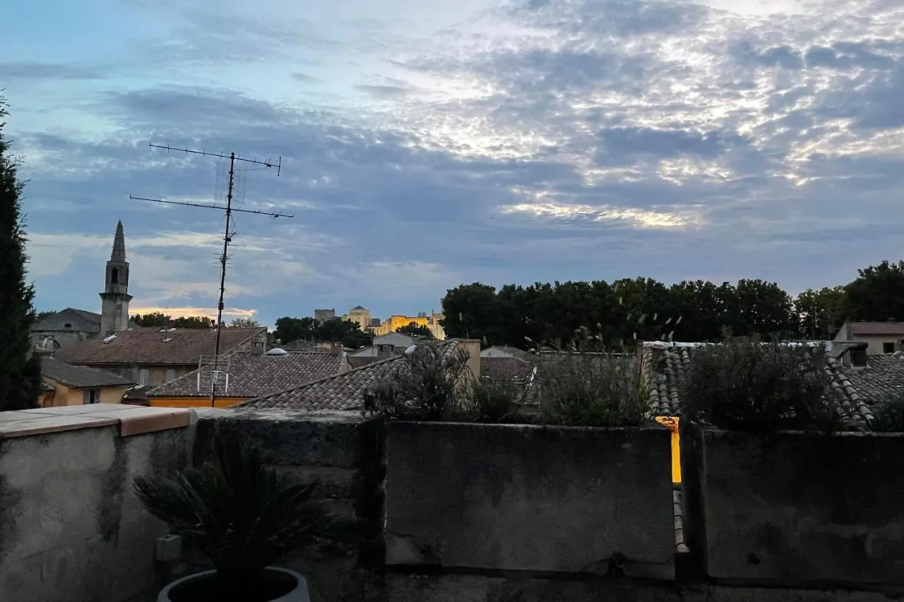 100M With View On Avignon Palais Des Papes Apartment France