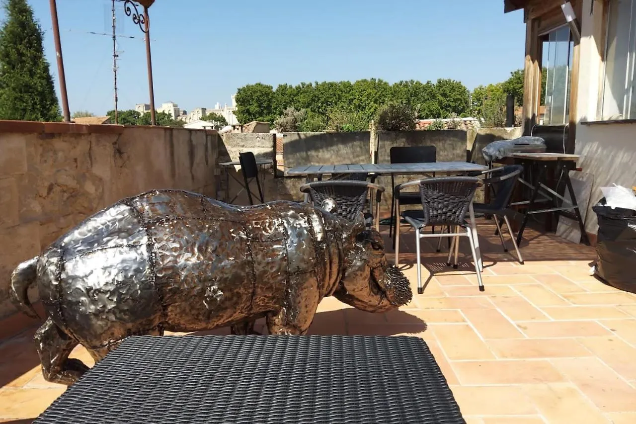 100M With View On Avignon Palais Des Papes Apartment 0*,  France